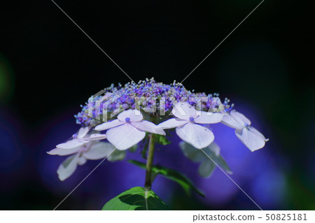 It gets wet when it rains 50825181