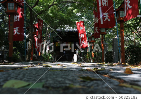 Changjienji 50825182