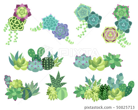Set of succulents planted decorative frame illustration set 50825713