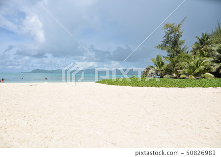 Everlasting paradise Everlasting paradise 50826981