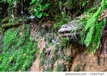 Tokyo Spring Todoroki Valley 50827487