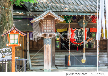 東京春天Todoroki山谷 50827490
