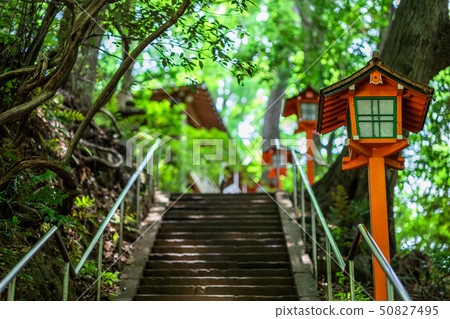 Tokyo Spring Todoroki Valley 50827495