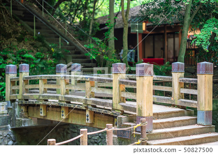 Tokyo Spring Todoroki Valley Tokyo Spring Todoroki Valley 50827500