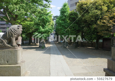 在川崎市中原區的Oto神社的行動 在川崎市中原區的Oto神社的行動 50827679