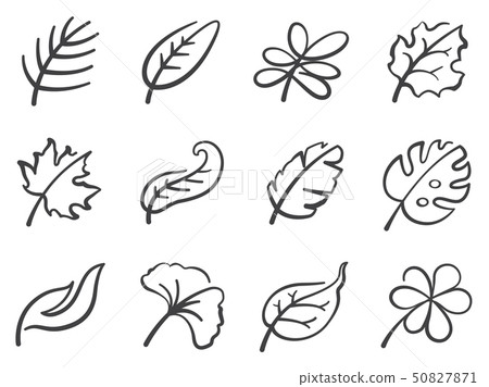 Leaves icon set. 50827871