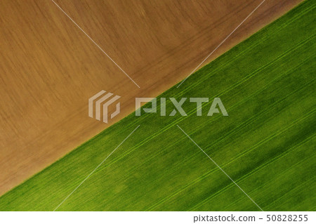 Ground and grass texture background Ground and grass texture background 50828255