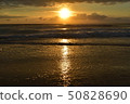 Morning sea 50828690
