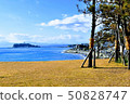 Enoshima 50828747