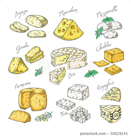Hand drawn cheese. Doodle appetizers and food slices, different cheese types Parmesan, brie cheddar 50829241