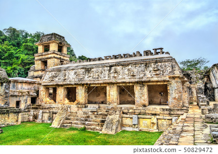 The Palace at the Maya Archeological Site in Palenque, Mexico 50829472