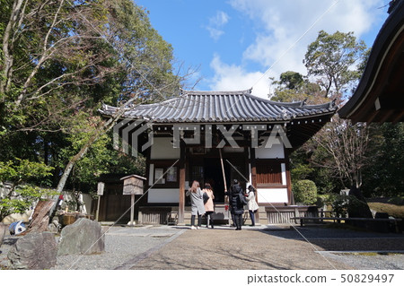 京都燒燒觀音堂千古寺山 京都燒燒觀音堂千古寺山 50829497