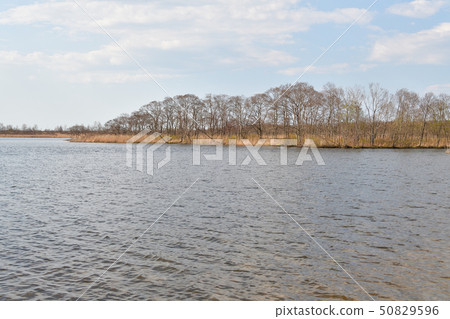 在春天拍攝北海道To小牧湖的湖畔景觀 50829596