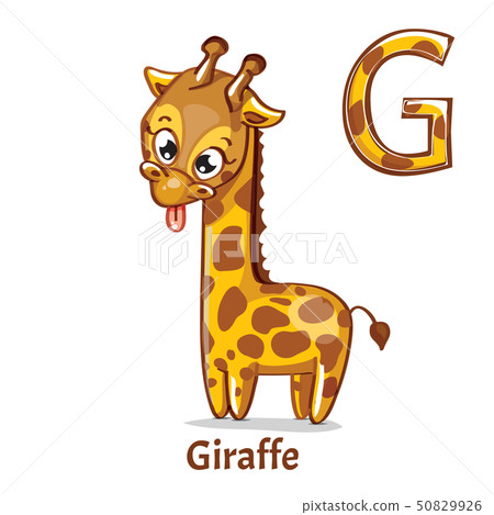 Vector alphabet letter G. Giraffe 50829926