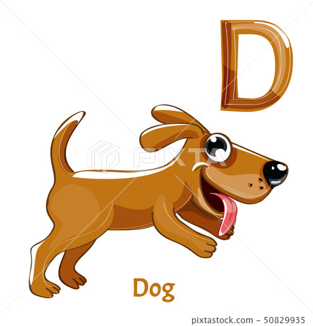 Vector alphabet letter D. Dog Vector alphabet letter D. Dog 50829935