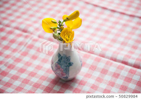 Closeup of wild yellow flowers in ceramic pot  50829984
