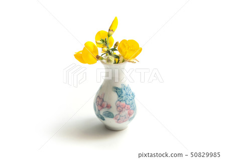 Closeup of wild yellow flowers in ceramic pot  50829985