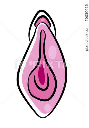 Human Vagina, Vaginal Opening Or Female Human Vagina, Vaginal Opening Or Female 50830016