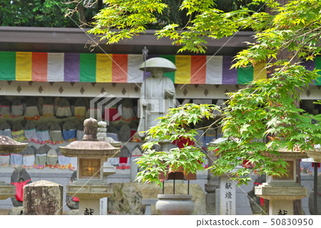 [阿部文人工房大史和沙丘行走]奈良縣櫻井市阿部山 50830950