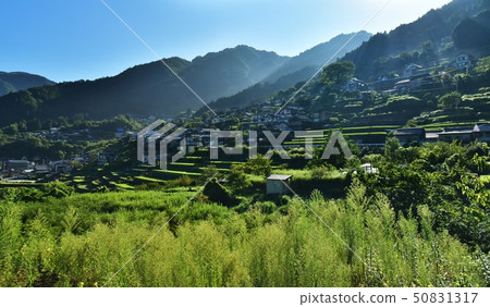 高知縣的Nichikawa市長在Shikoku邊境的村莊的早晨 50831317