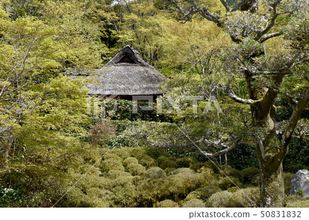 Kanpukuji Bashoan 50831832