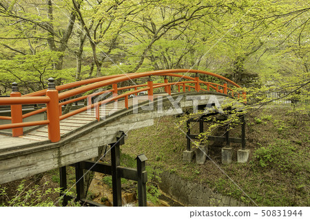 Gunma Prefecture Shibukawa City Ikaho Onsen Fresh Green Kazuka Bridge Gunma Prefecture Shibukawa City Ikaho Onsen Fresh Green Kazuka Bridge 50831944