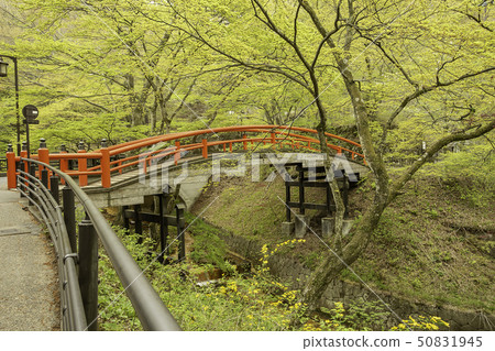 群馬縣澀川市Ikaho溫泉新鮮綠色Kazuka橋 群馬縣澀川市Ikaho溫泉新鮮綠色Kazuka橋 50831945