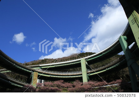 Kawazu Nanaki Loop Bridge Kawazu Nanaki Loop Bridge 50832078