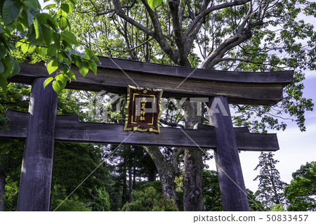 Hidaka City,Saitama Pref.Korai Shrine Ninotorii Hidaka City,Saitama Pref.Korai Shrine Ninotorii 50833457