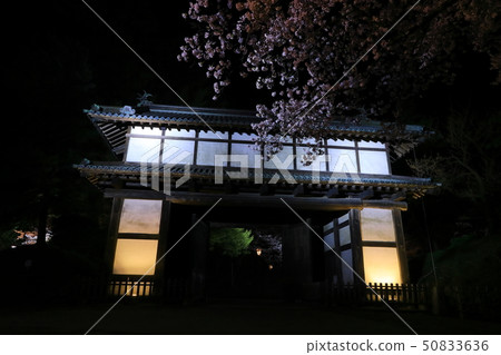 Spring Hirosaki Park Spring Hirosaki Park 50833636