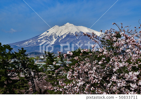 弘前城堡公園 弘前城堡公園 50833711