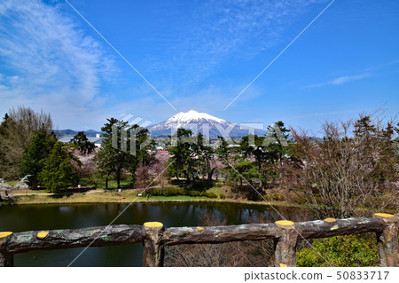 弘前城堡公園 弘前城堡公園 50833717