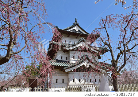 弘前城堡公園 50833737
