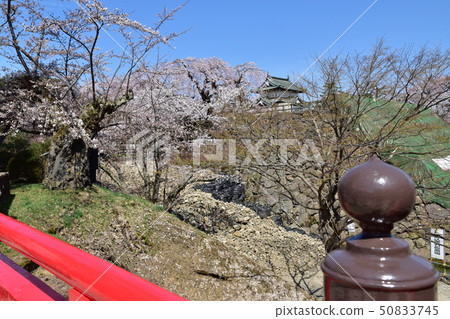 弘前城堡公園 弘前城堡公園 50833745