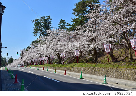 弘前城堡公園 弘前城堡公園 50833754