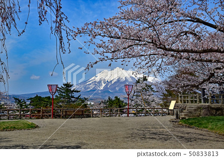 弘前城堡公園 50833813
