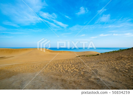 Tottori Sand Dune Tottori Prefecture 50834259