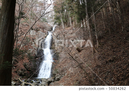 Tochigi Prefecture, Nikko City, Kashiwa Falls Tochigi Prefecture, Nikko City, Kashiwa Falls 50834262