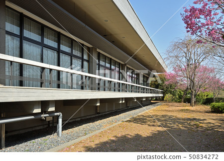 Walk around the Imperial Palace: Constitutional Museum 50834272