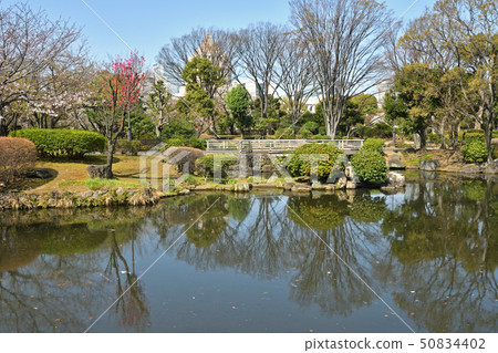 Walk around the Imperial Palace: Japanese-style garden Walk around the Imperial Palace: Japanese-style garden 50834402