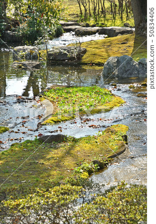 在皇宮周圍散步:日式花園 在皇宮周圍散步:日式花園 50834406