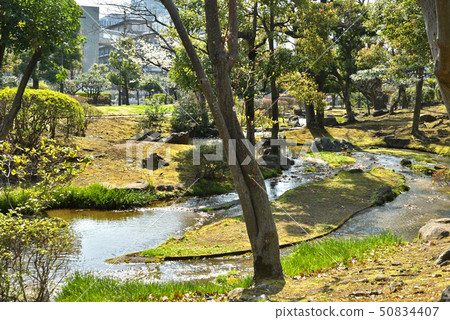 在皇宮周圍散步：日式花園 50834407