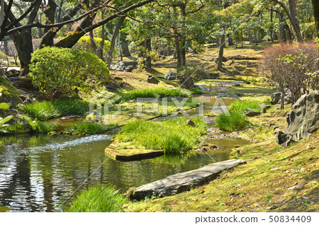 在皇宮周圍散步:日式花園 在皇宮周圍散步:日式花園 50834409