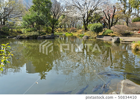 在皇宮周圍散步:日式花園 在皇宮周圍散步:日式花園 50834410