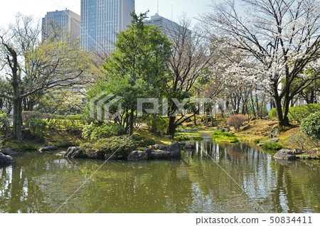 在皇宮周圍散步:日式花園 在皇宮周圍散步:日式花園 50834411