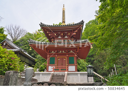 奈良縣櫻井市三和市[Miwa Mountain Byodo-ji Double Tower Shakado] 50834645