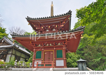 [Miwa Mountain Byodo-ji Double Tower Shakado] Miwa, Sakurai City, Nara Prefecture 50834646