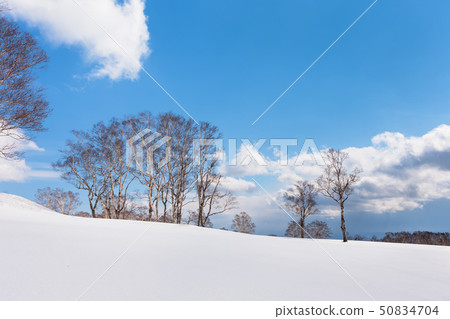 日本/北海道洞爺湖，冬天的景色 50834704