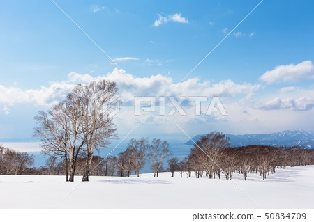 Japan / Hokkaido Toyako, winter scenery Japan / Hokkaido Toyako, winter scenery 50834709
