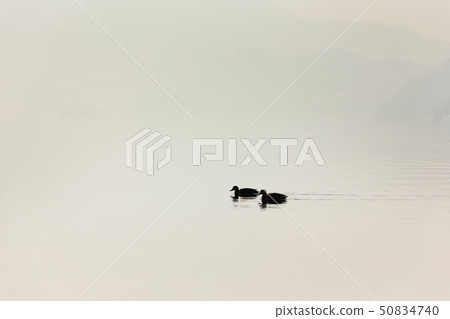 Japan / Hokkaido Toyako, winter scenery Japan / Hokkaido Toyako, winter scenery 50834740